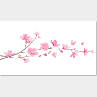 Cherry Blossom – Single Branch White Posters and Art